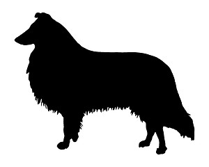 Image showing The black silhouette of a longhaired Collie