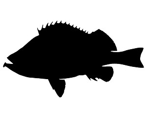 Image showing Rose fish Silhouette