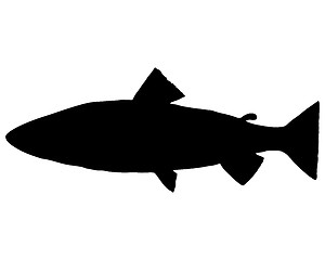 Image showing Trout silhouette