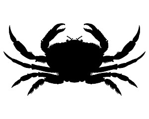 Image showing Crab Silhouette