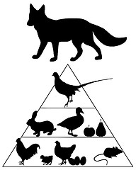 Image showing Fox food guide pyramid