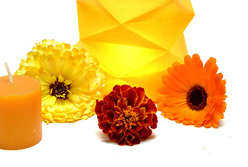 Image showing Burning candle in a paper lamp with flowers