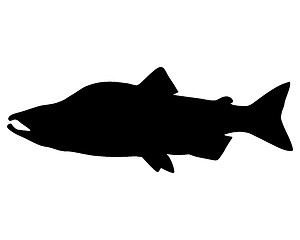 Image showing Salmon Silhouette