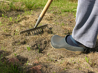 Image showing Cutout man with rake doing work in the garden