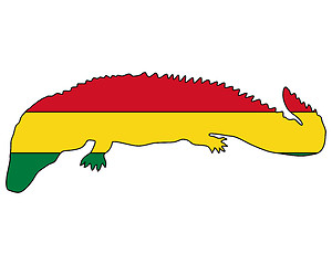 Image showing Caiman Bolivia