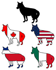 Image showing Coyote flags