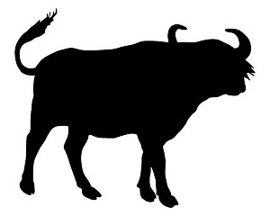 Image showing African Buffalo silhouette