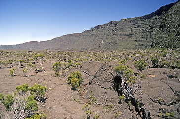 Image showing Lava flow La Reunion