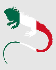 Image showing Iguana Mexico