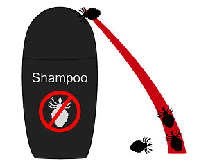 Image showing Lice shampoo and hair with lice on white background