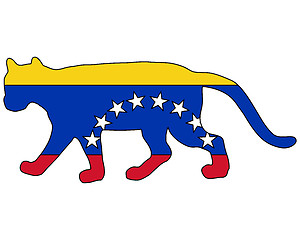 Image showing Cougar Venezuela