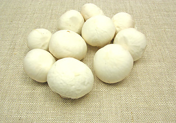 Image showing White  mushrooms on a beige table cloth