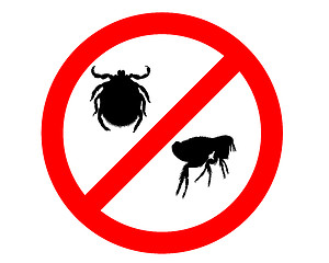 Image showing Prohibition sign for fleas and ticks on white background