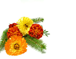 Image showing A single twig of fir with marygold and calendula