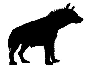 Image showing Hyena silhouette