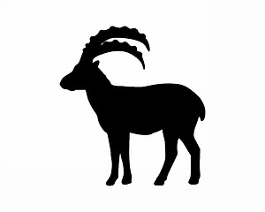 Image showing Capricorn