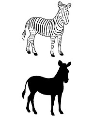 Image showing Zebra silhouette