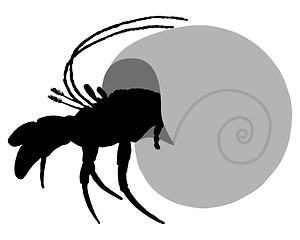 Image showing Hermit crab silhouette