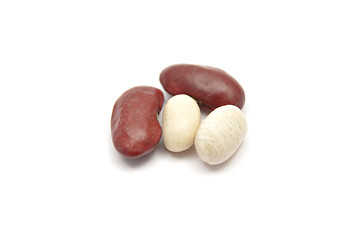 Image showing Detailed but simple image of legumes on white