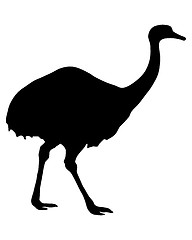 Image showing Greater Rhea Silhouette