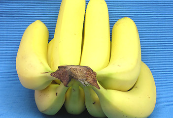 Image showing Bananas lying in front of a blue background