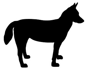 Image showing Alaskan Husky silhouette