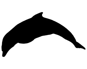 Image showing Dolphin silhouette