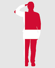 Image showing Danish Salute