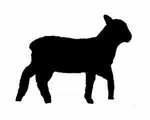 Image showing Black silhouette of a lamb on white