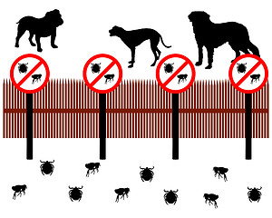 Image showing Dogs behind a fence to protect against ticks and fleas