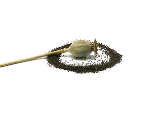 Image showing Poppy capsule with poppy seeds