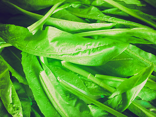 Image showing Retro look Salad picture