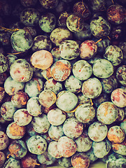 Image showing Retro look Prunes picture