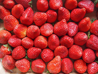 Image showing Strawberries fruits