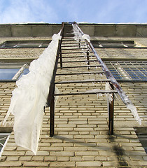 Image showing Big icicles