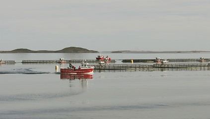 Image showing Sea farm