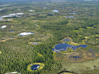 Image showing Aerial view on forest-tundra landscape