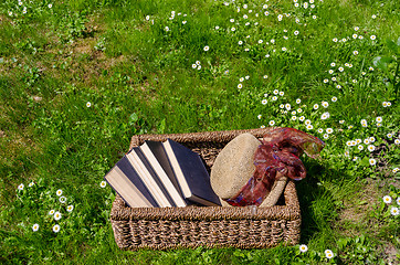 Image showing Wicker basket full of books and retro hat in lawn 
