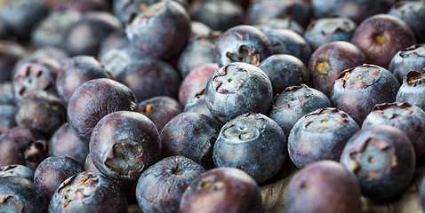 Image showing Blueberries background