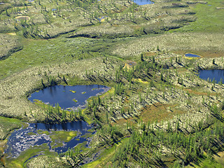 Image showing Aerial view on forest-tundra landscape