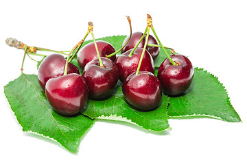 Image showing Dark vinous ripe sweet cherry juicy tasty berry