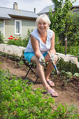 Image showing Elderly woman removes the weeds in the garden