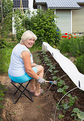 Image showing Mature woman working in her garden