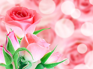 Image showing Bouquet pink roses