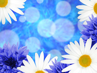 Image showing Background with daisies and cornflowers