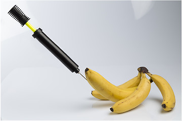 Image showing Bananas and bicycle pump