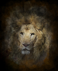 Image showing Watercolor Image Of Lion
