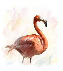 Image showing Flamingo - Watercolor Illustration 