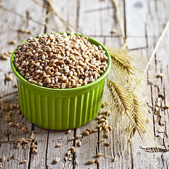 Image showing wheat grain in bowl and ears 
