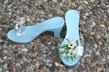 Image showing Girl-shoes